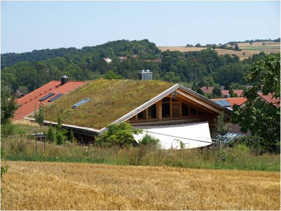 Mgliche Problemflchen; begrntes Hausdach