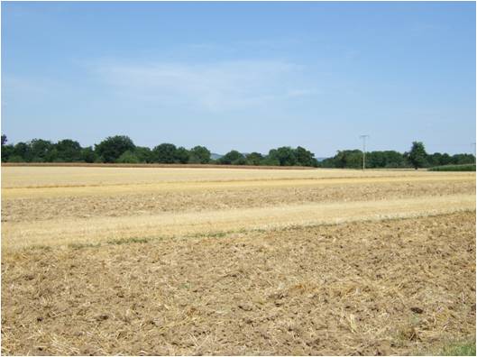 Schwierige Bestimmung der Vegetation; abgeerntete und bearbeitete Fläche